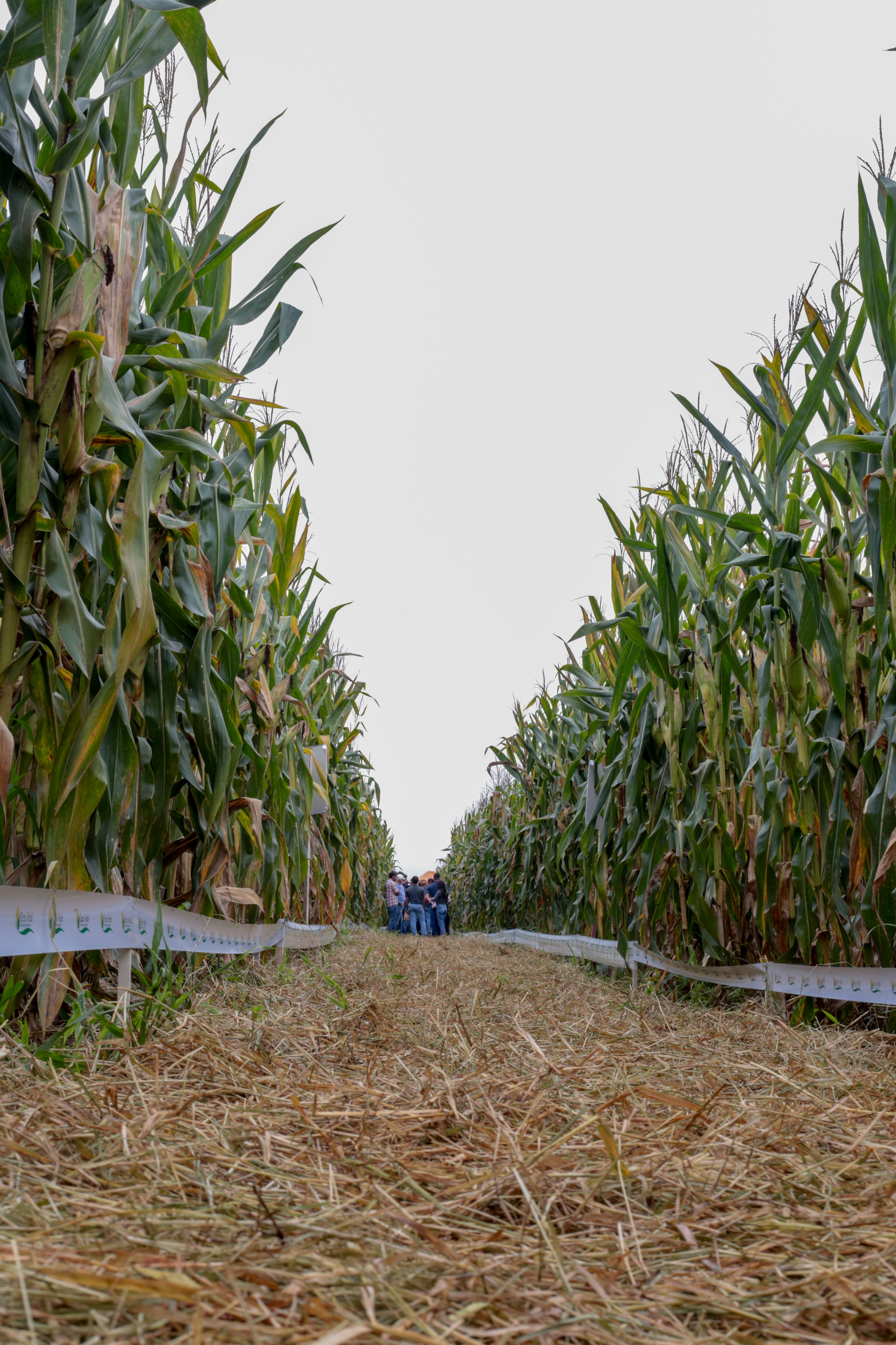 2° Dia de Campo - Foto 36